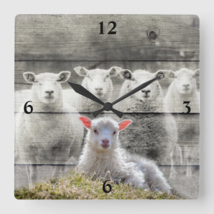Får Flock Baby Lamb Fyrkantig Klocka