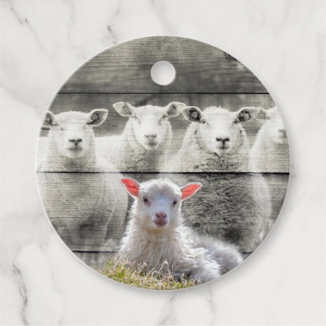 Får Flock Baby Lamb Gåvor Etiketter (Framsida)