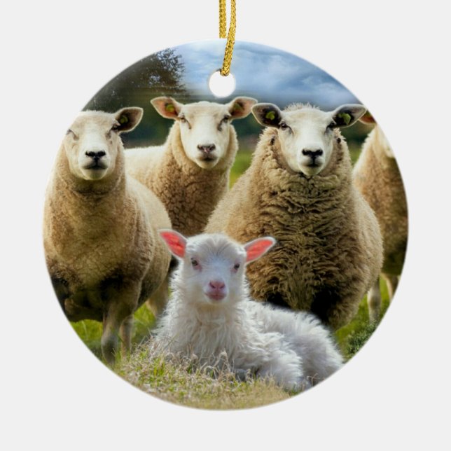 Får Flock Baby Lamb Julgransprydnad Keramik (Framsidan)