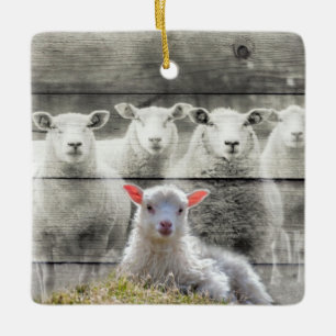 Får Flock Baby Lamb Julgransprydnad Keramik