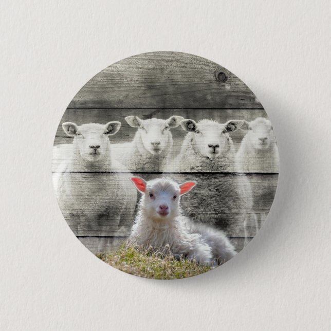 Får Flock Baby Lamb Knapp (Framsida)
