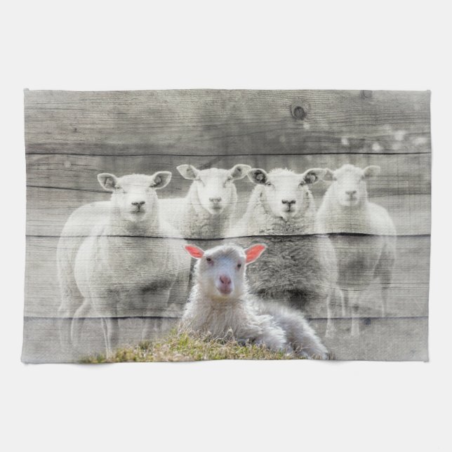 Får Flock Baby Lamb Kökshandduk (Horisontell)