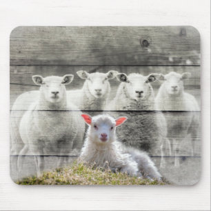 Får Flock Baby Lamb Musmatta