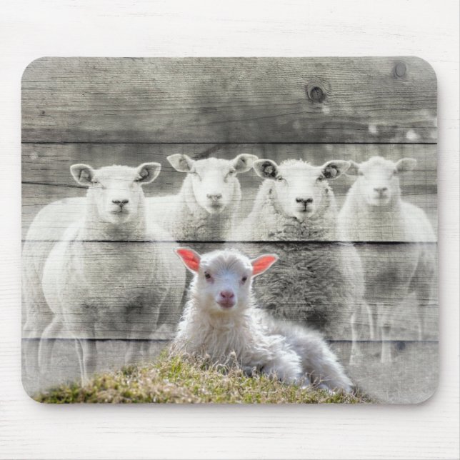 Får Flock Baby Lamb Musmatta (Framsidan)