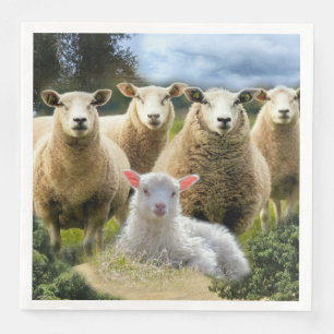 Får Flock Baby Lamb Pappersservett