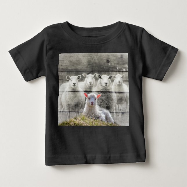 Får Flock Baby Lamb T Shirt (Framsida)
