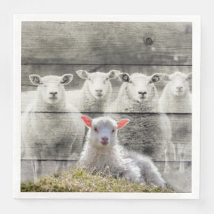 Får Flock Baby Lamm Pappersservett