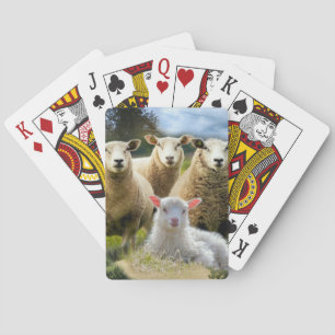 Får Flock Får Herd Baby Lamb Casinokort