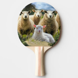 Får Flock Får Herd Baby Lamb Pingisracket