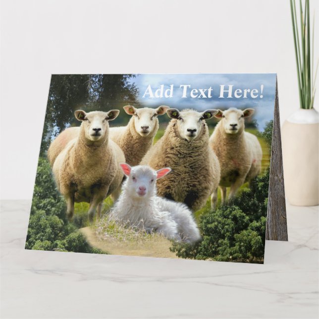 Får Flock Får Herd Baby Lamb Tack Kort (Framsida)
