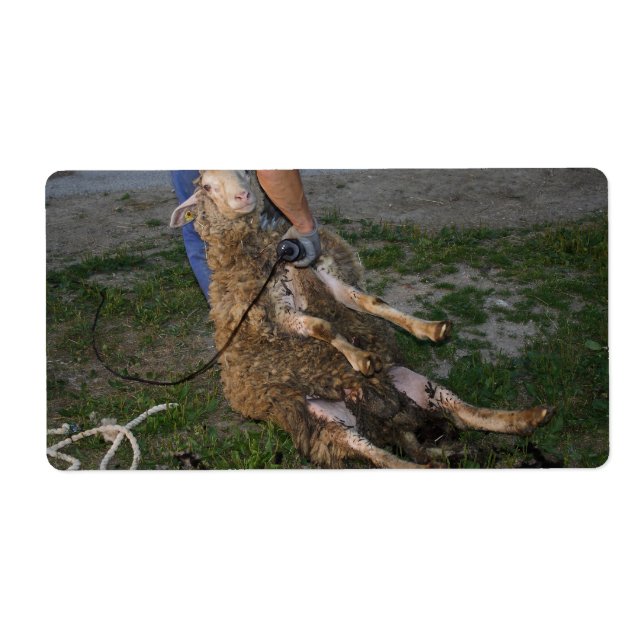 Får Fraktsedel (Framsidan)