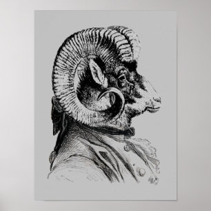 Får från björn i Kostym Poster