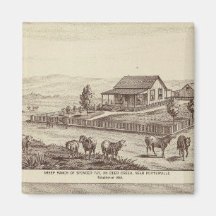 Får från Hjort Bäck Magnet