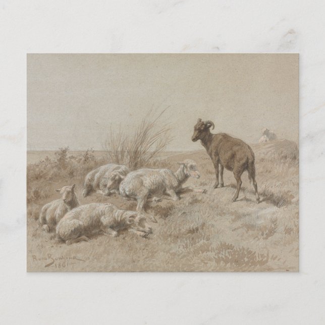 Får Grafit Konst Scrapbookpapper (Framsida)