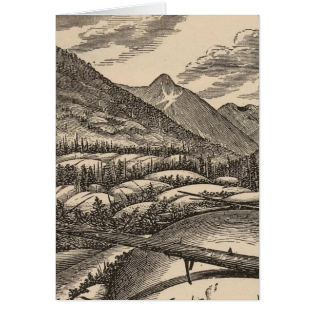 Får Hälsningskort (Framsidan)