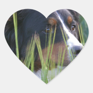 Får Hund i gräs Hjärtformat Klistermärke
