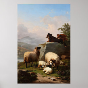 Får Hundar som vaktar får, bortser från floden Poster