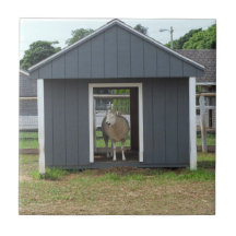 Får i Barn House Tile
