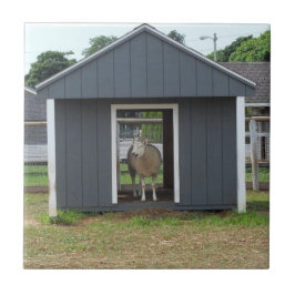 Får i Barn House Tile Kakelplatta