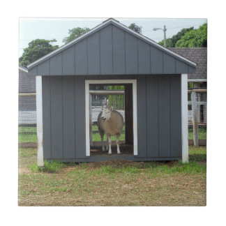 Får i Barn House Tile Kakelplatta