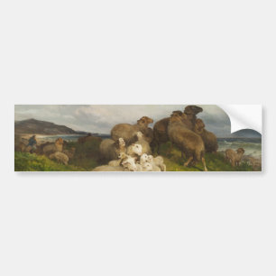 Får i en ängsmark (senast i augusti Friedrich Sche Bildekal