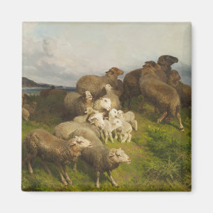Får i en ängsmark (senast i augusti Friedrich Sche Magnet