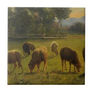 Får i ett landskap på landsbygden (Fransk Farm) Kakelplatta