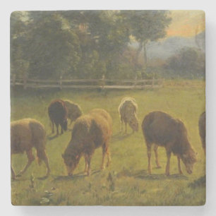 Får i ett landskap på landsbygden (Fransk Farm) Stenunderlägg