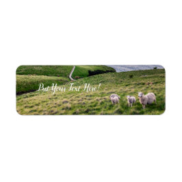 Får i Nya Zeeland | ChristChurch Landscape | NZ Returadress Etikett