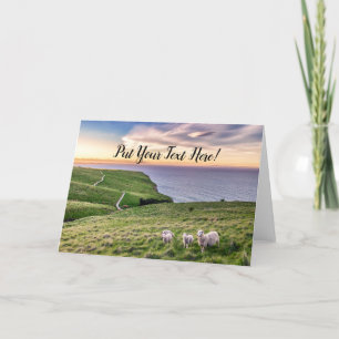 Får i Nya Zeeland ChristChurch Landscape NZ Tack Kort