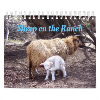 Får i Ranch-kalendern Kalender