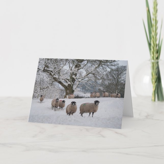 Får i snö helgkort (Framsida)