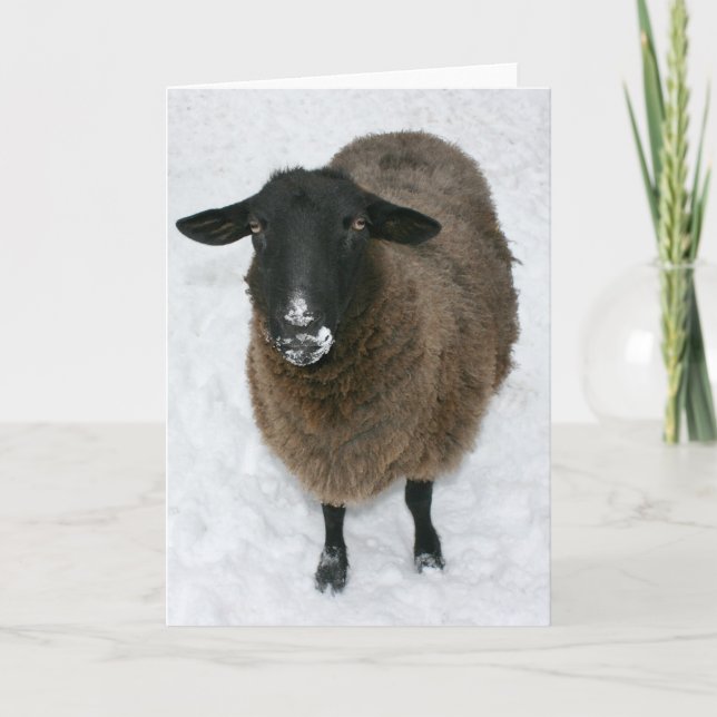 Får i snö helgkort (Framsida)