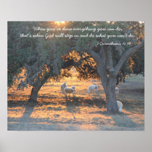 Får i Texas Sunset, citat från Corinthians Poster
