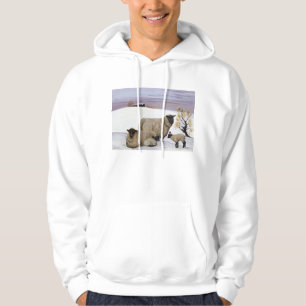 Får i vinter sweatshirt