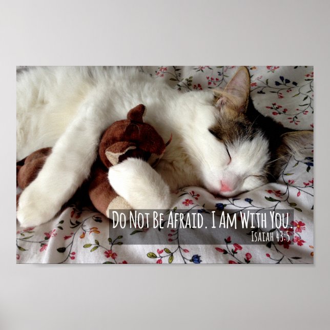 Får inte tvättas med Nalle. Poster (Framsidan)