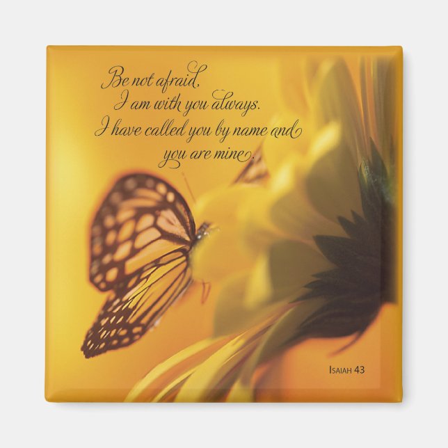 Får inte vara en fet Religiösa-fjäril på Daisy Magnet (Framsidan)