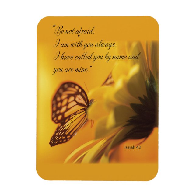 Får inte vara en fet Religiösa-fjäril på Daisy Magnet (Vertikal)