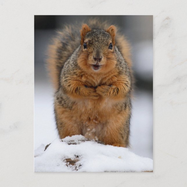 Får jag presentera mig själv vykort (Framsida)