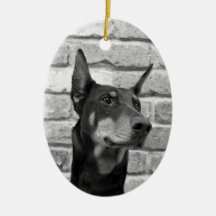 Får jag Slicka Ansikte?