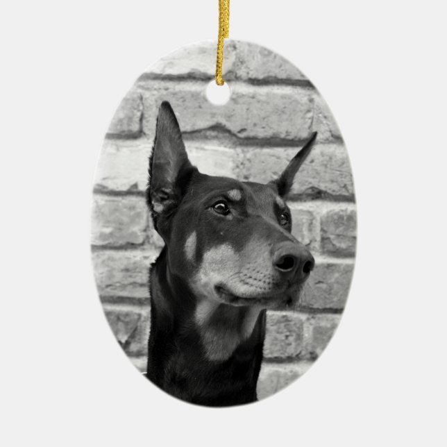 Får jag Slicka Ansikte? Julgransprydnad Keramik (Framsidan)