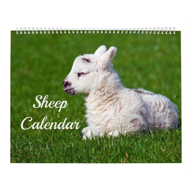 Får Kalender (Omslag)