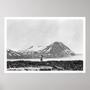 Får Kenai Peninsula Alaska 1912 Poster