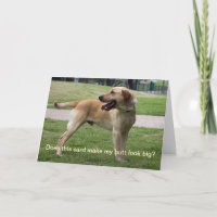 Får kortet min rumpa att se stor ut?