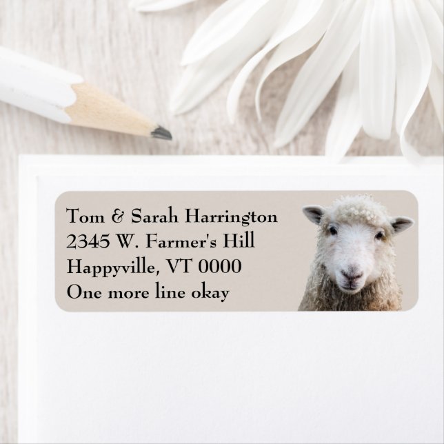 Får Lamb Boskap Returadress Etikett (Insitu)