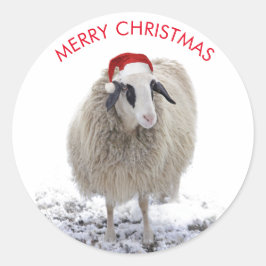 FÅR MED ANPASSADE-KÄRNOR FÖR tomat Runt Klistermärke