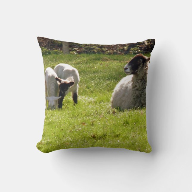 Får med lamm kudde (Framsida)