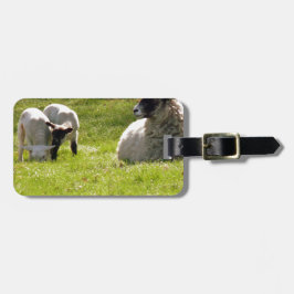 Får med Vår-lampor Bagagebricka