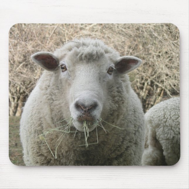 Får Mousepad Musmatta (Framsidan)