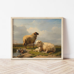 Får och Ankor Eugène Joseph Verboeckhoven Poster